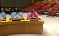 Special Coordinator Wronecka Briefs Security Council on Resolution 1701  