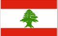 The UN Special Coordinator Expresses Condolences on Death of Lebanese Servicemen