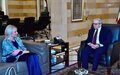 UN Special Coordinator promotes implementation of resolution 1701