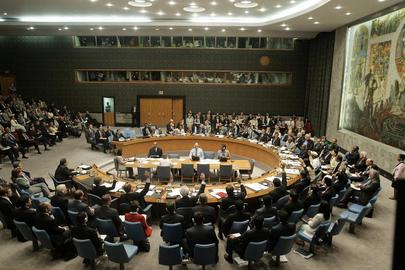 Security Council Unanimously Votes for Cessation of Hostilities in Lebanon